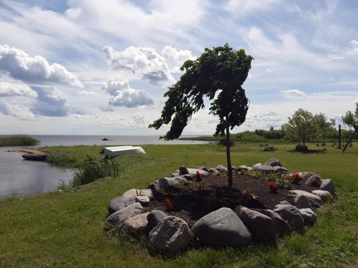 Отель Paeevatalu Camping Vilusi Экстерьер фото