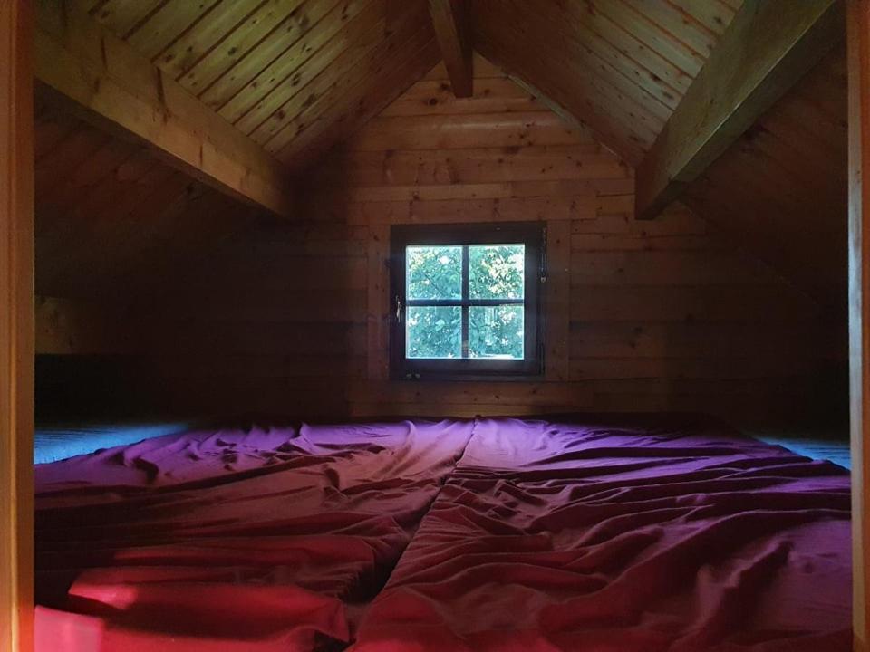 Отель Paeevatalu Camping Vilusi Экстерьер фото
