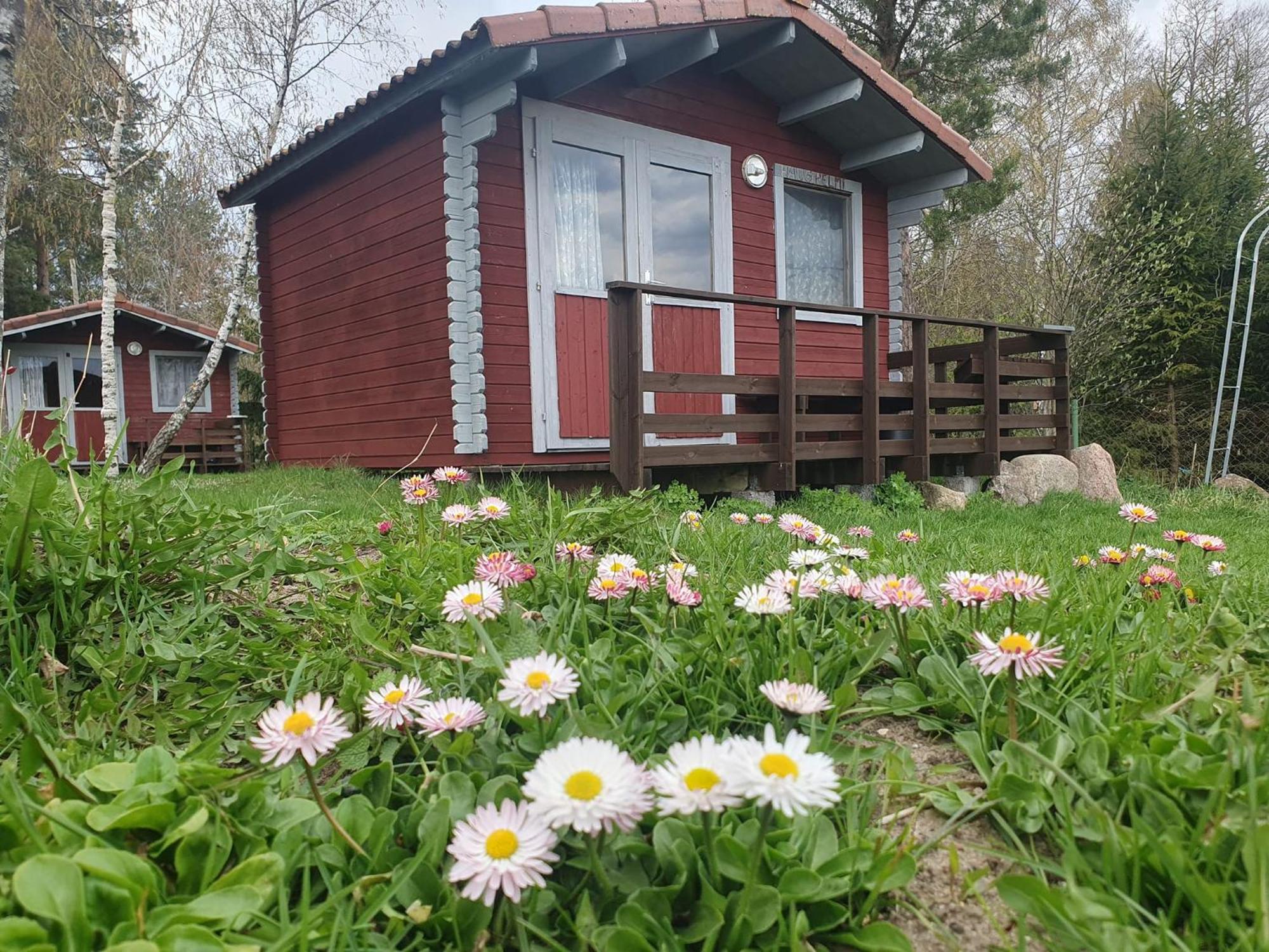 Отель Paeevatalu Camping Vilusi Экстерьер фото